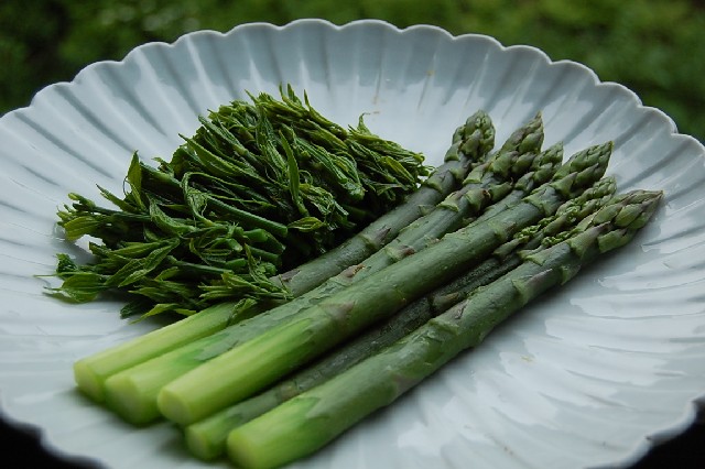 Asparagus061211 (74k image)