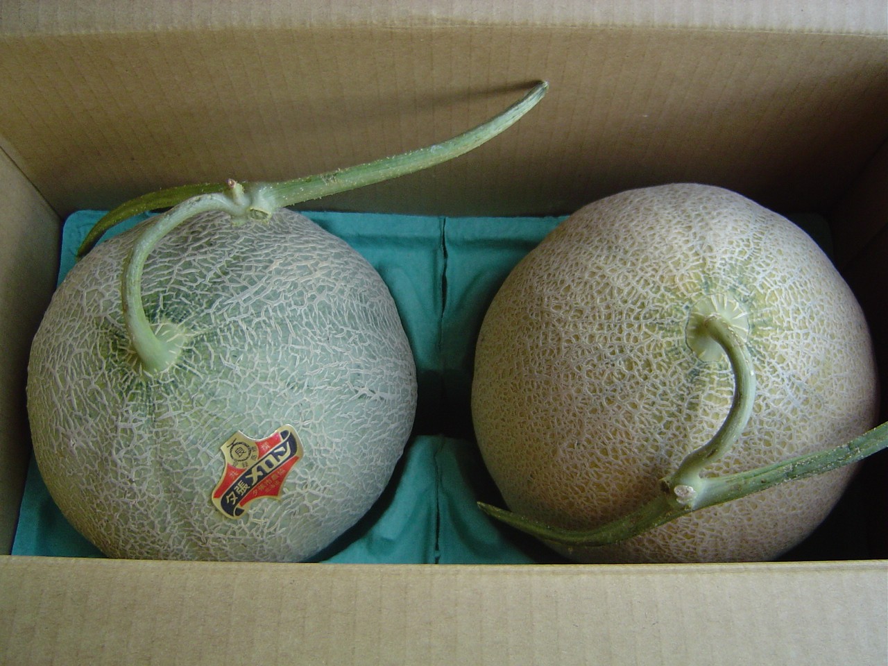 Melon (288k image)