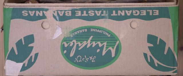 Miyabi (47k image)