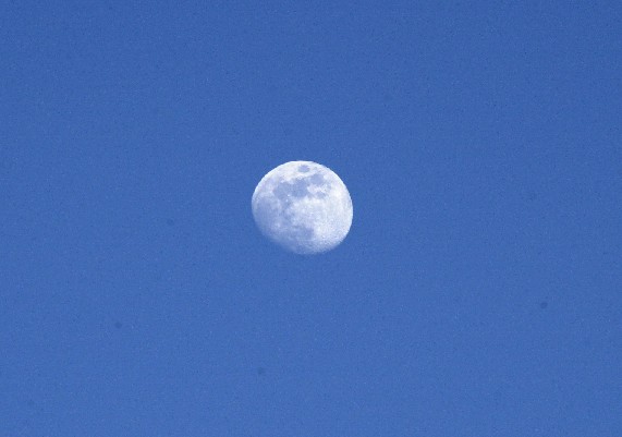 Moon0131 (36k image)