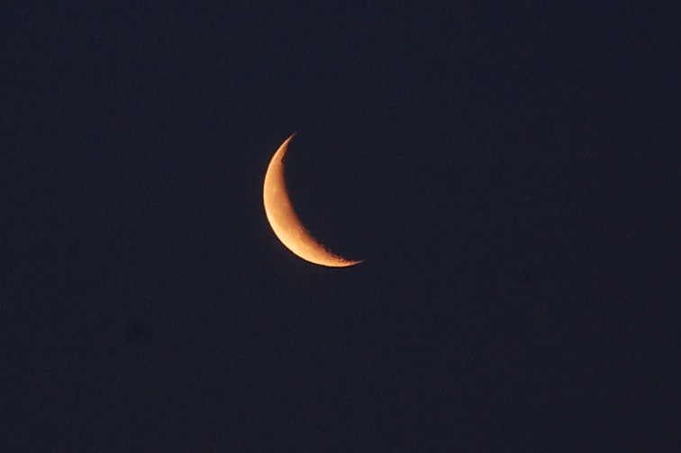 MorningMoon033011 (39k image)