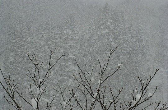 Snow0103 (84k image)