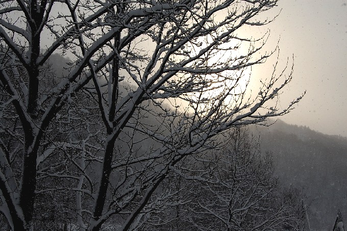 Snow0110 (152k image)