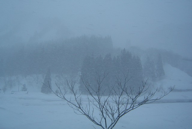 Snow0210 (40k image)
