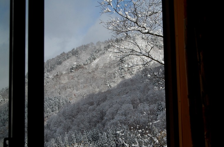 Snow110309b (96k image)
