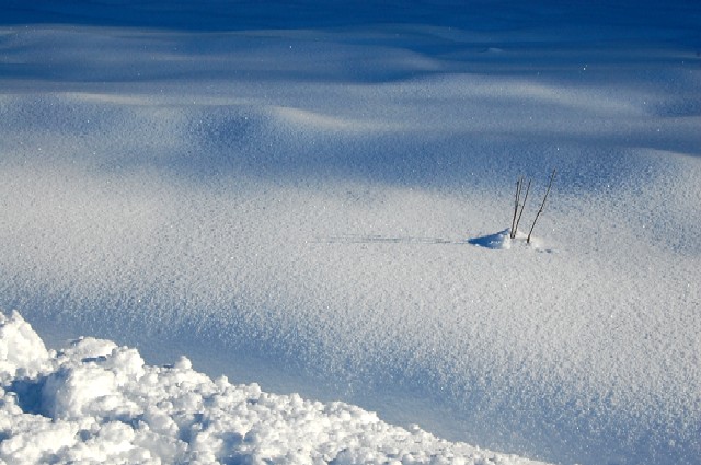 Snow121208 (80k image)