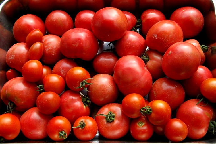 Tomato0823 (104k image)